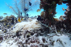 P8040155