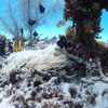P8040155
