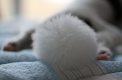 ふわふわ
