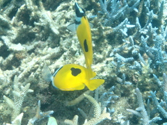 P7290215