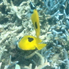 P7290215