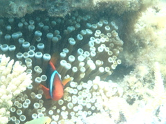 P7290213