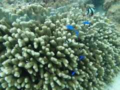 P8030073