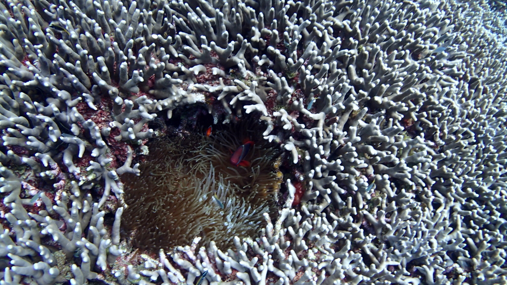 P8040013