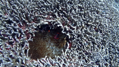 P8040013