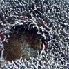 P8040013