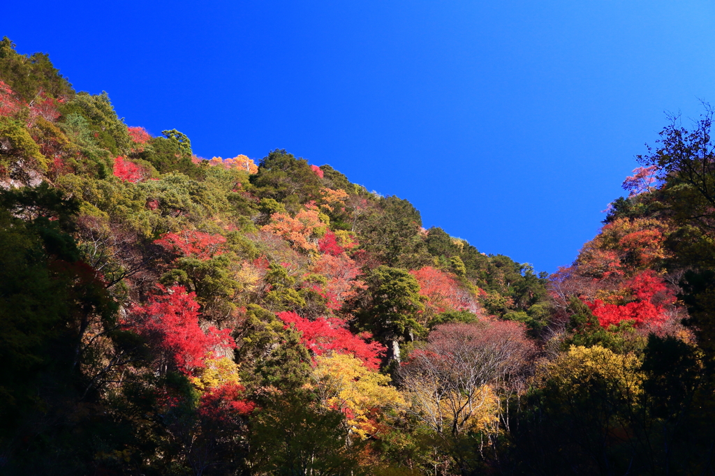 赤目四十八滝の山々