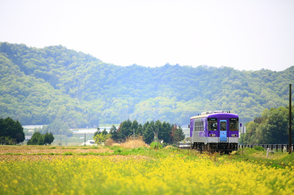 北条鉄道