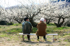 おじいちゃんと孫