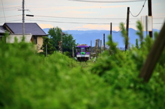 緑の中の北条鉄道
