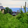 緑の中の北条鉄道