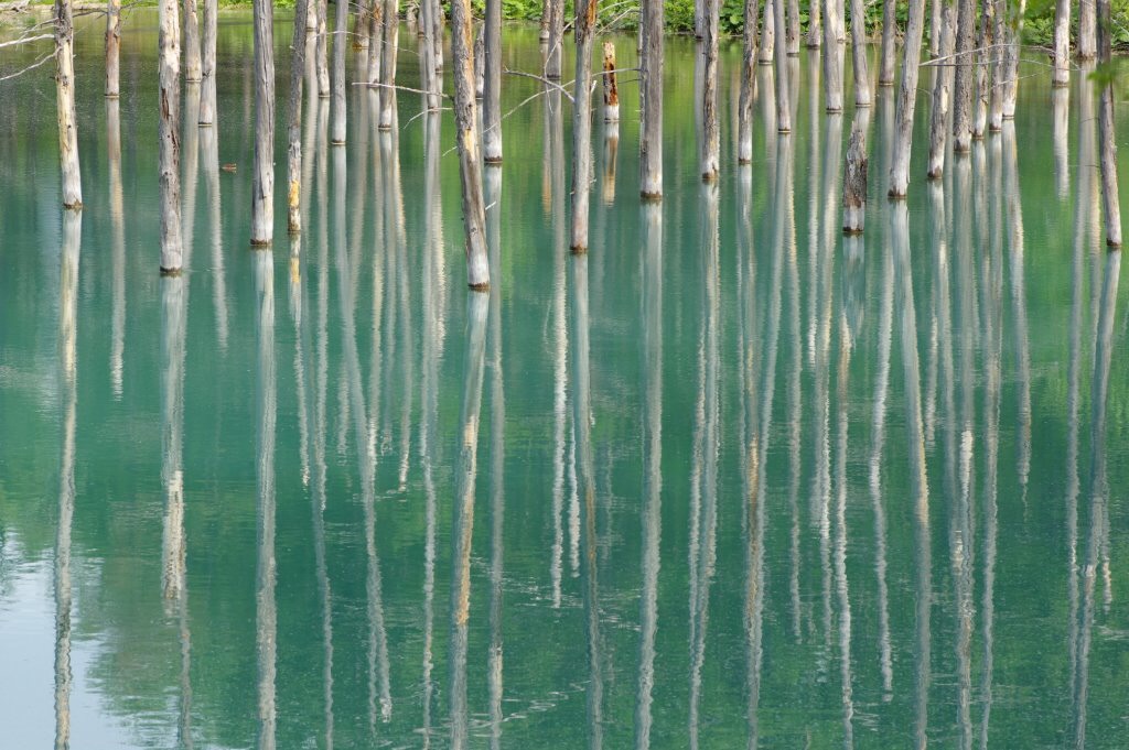 青の池