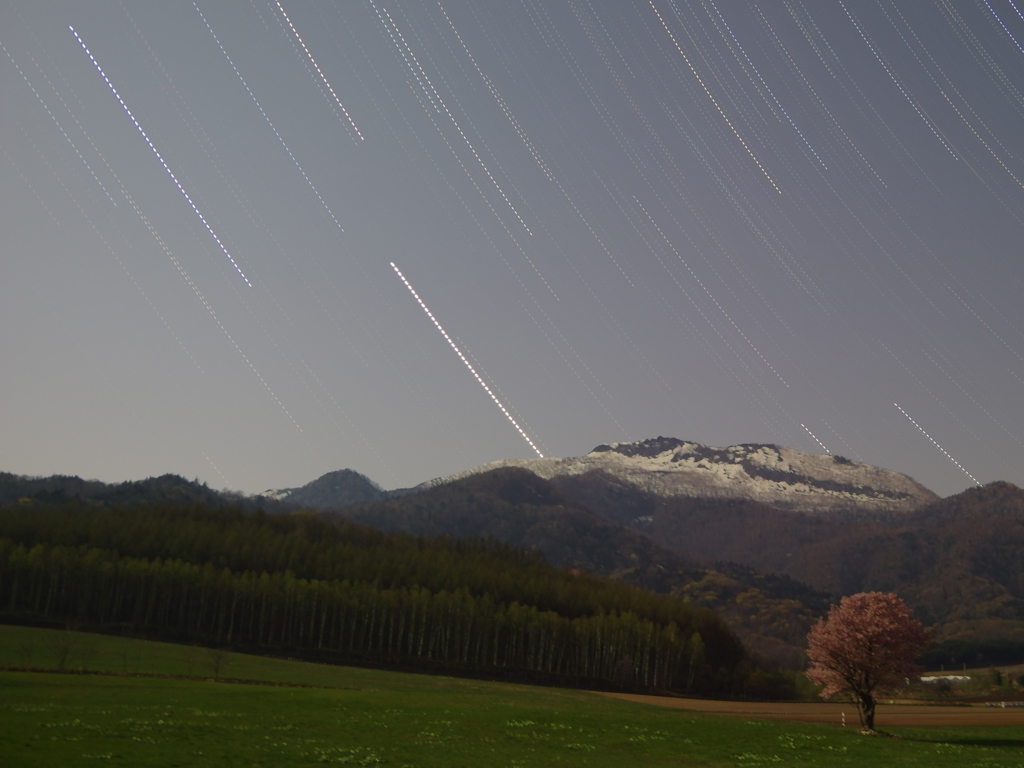 一本桜と星空