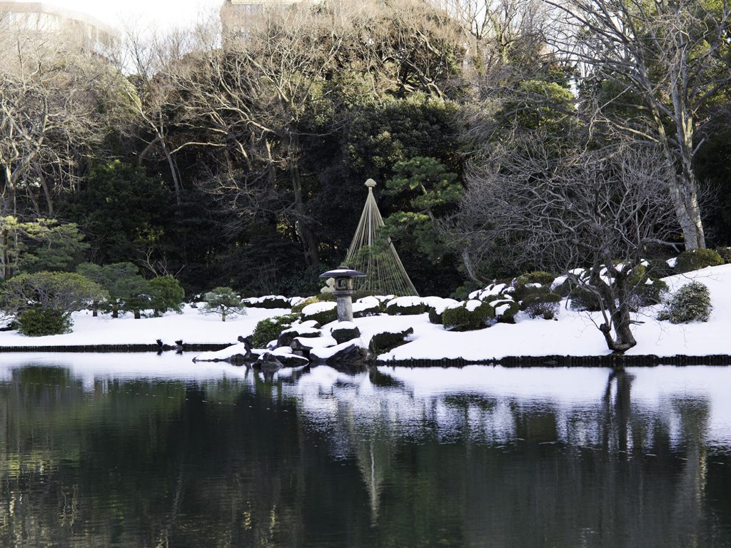 雪吊り