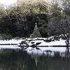 雪吊り