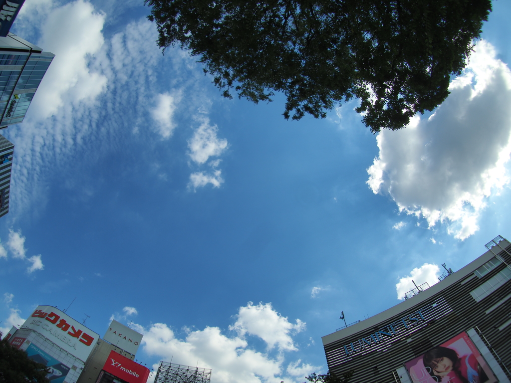 晩夏・初秋の新宿