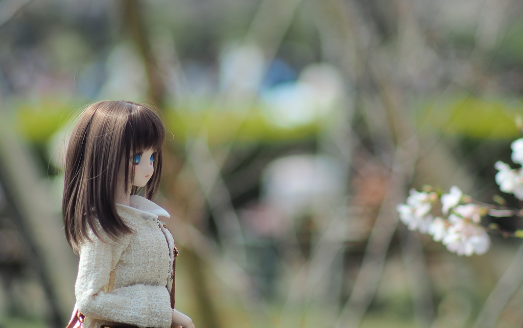 フィギュア撮ってもいいですか？