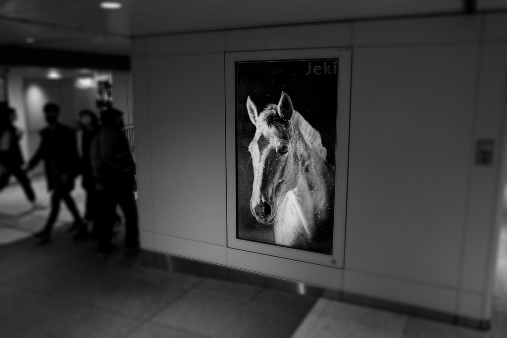 新宿駅東西自由通路