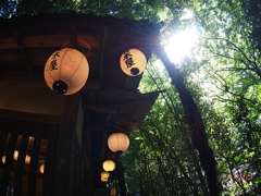 被写体としての蕎麦屋 ３