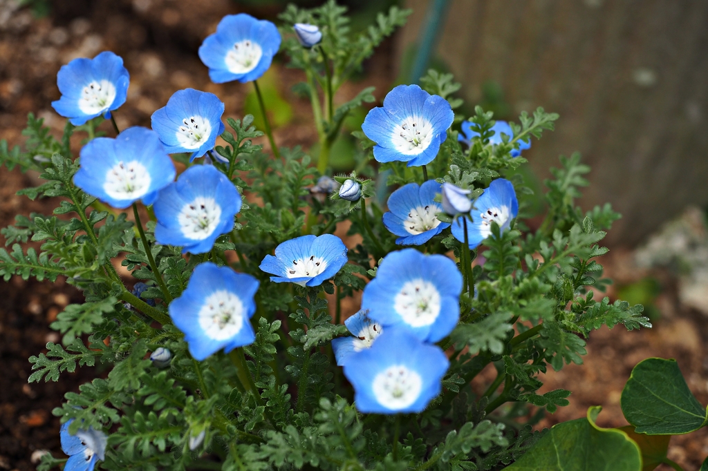 笑顔に包まれて