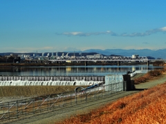 多摩川 輝く水面！