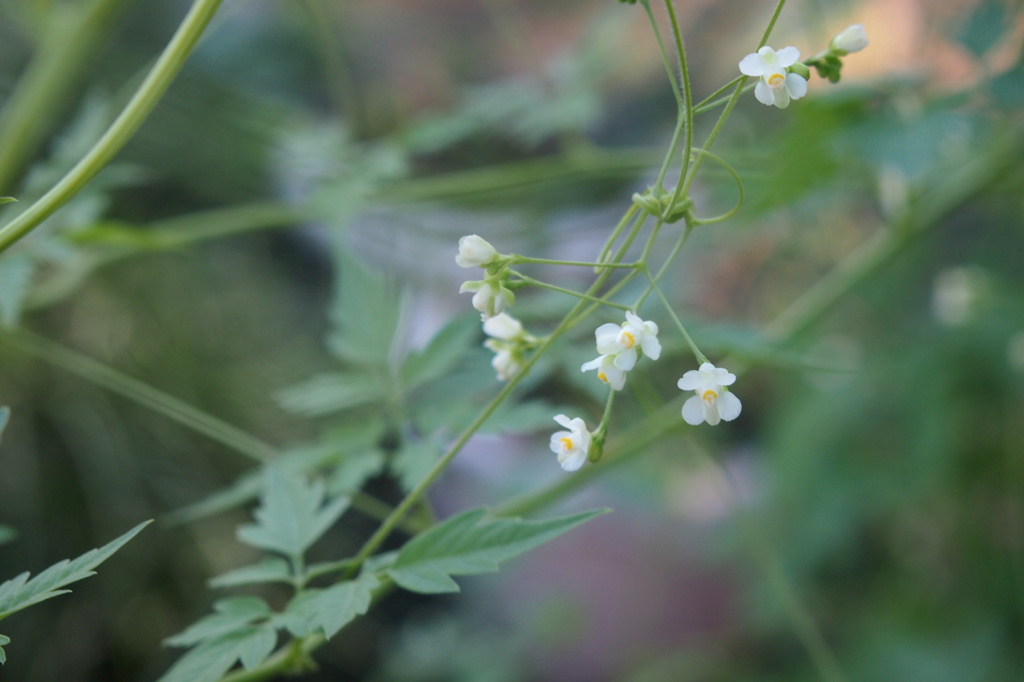 あなたと一緒に