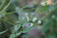 あなたと一緒に