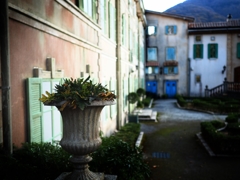 Past present （future）