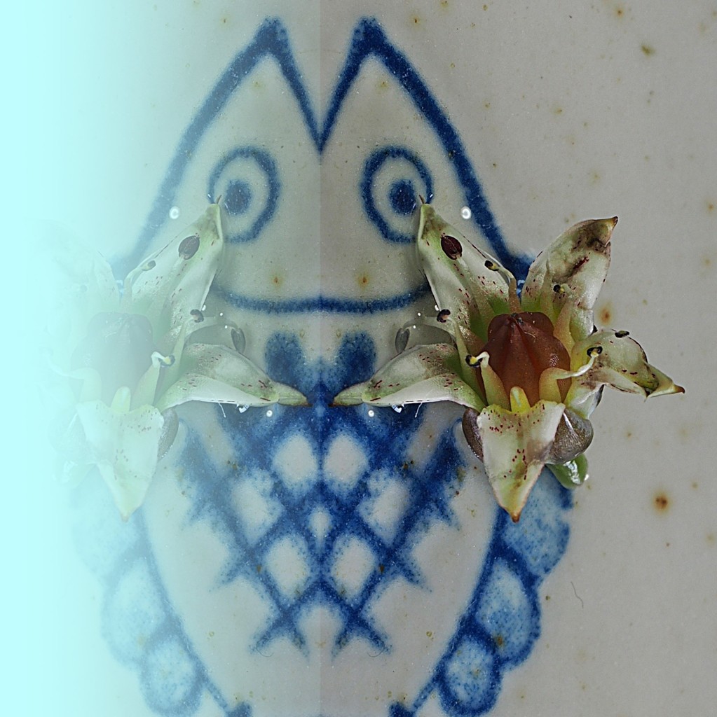 隠れてないで出ておいで