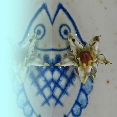 隠れてないで出ておいで