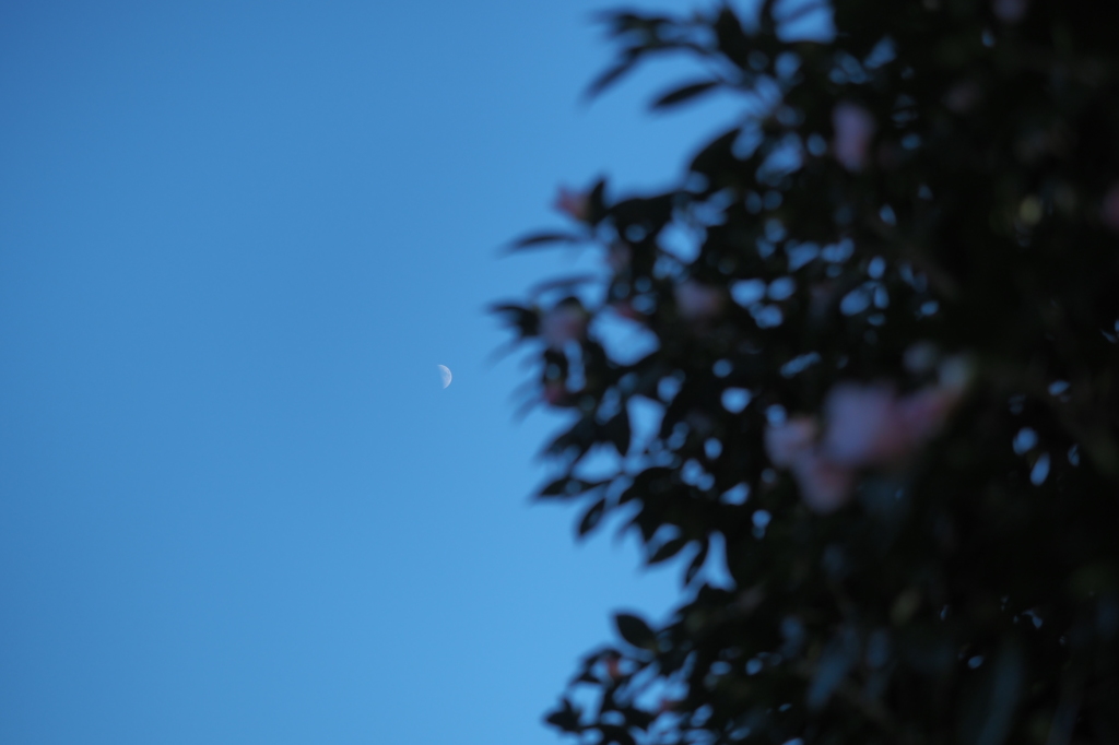 同じ月を　みてるわけない^^;