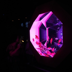 惣流・アスカ・ラングレー