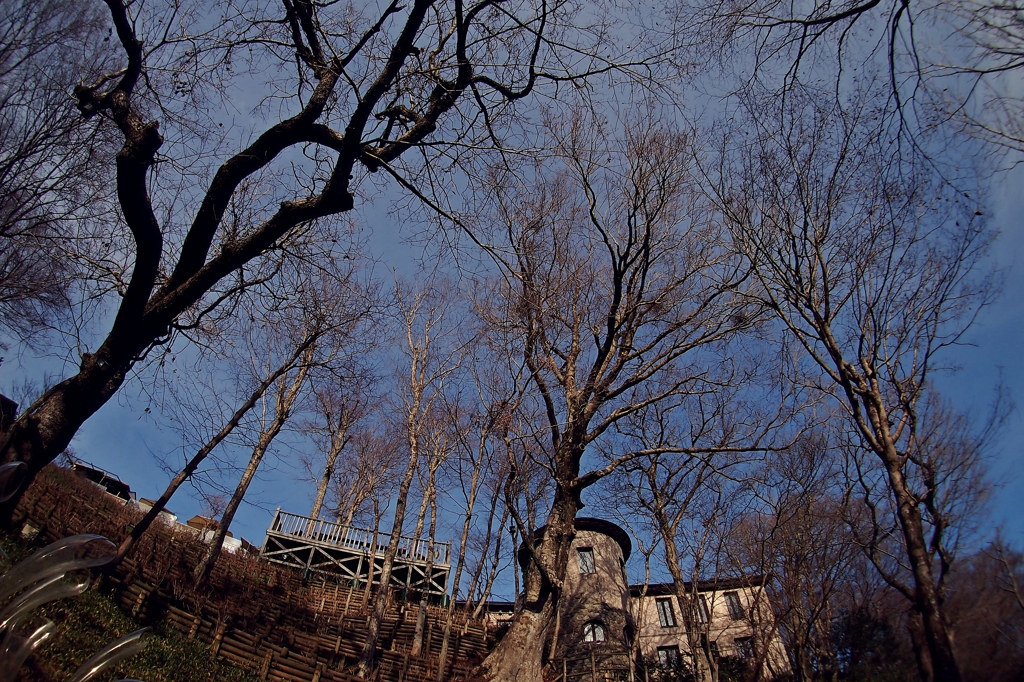 箱根旅行番外編：ここはどこ？私はだ～れ？