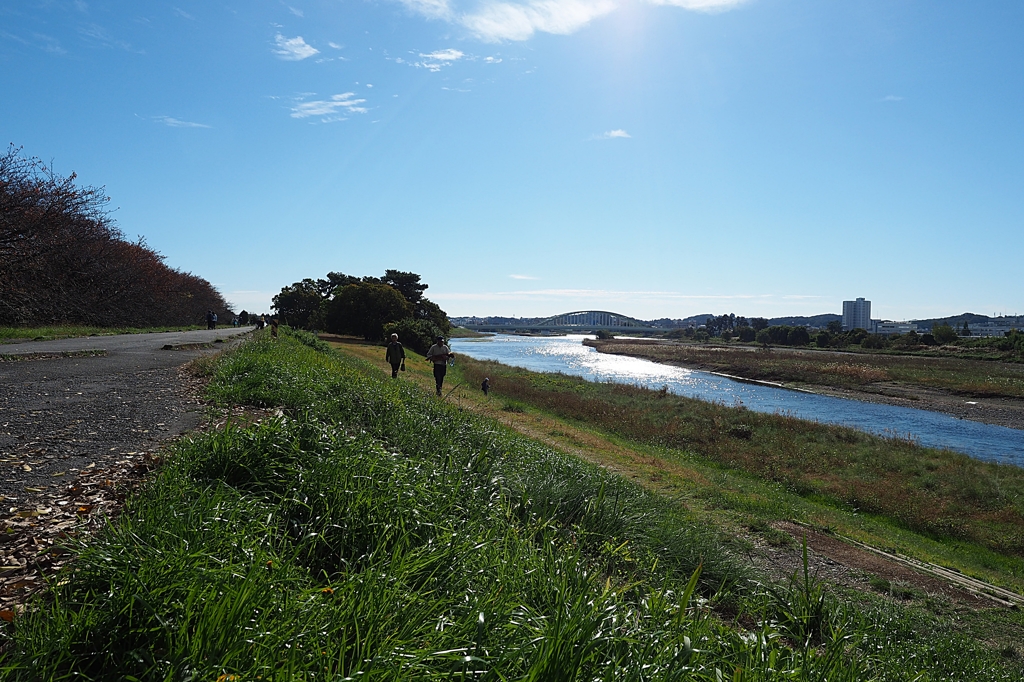 多摩川 輝く