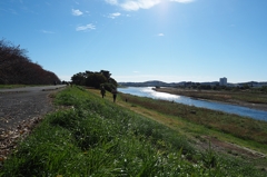 多摩川 輝く