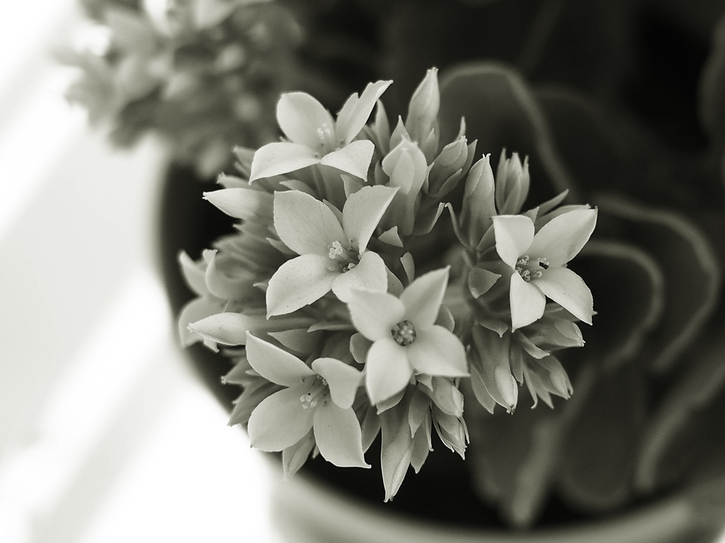 地獄の連勤 最終日