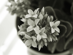 地獄の連勤 最終日