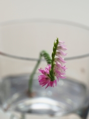 前方伸身宙返り３回ひねり