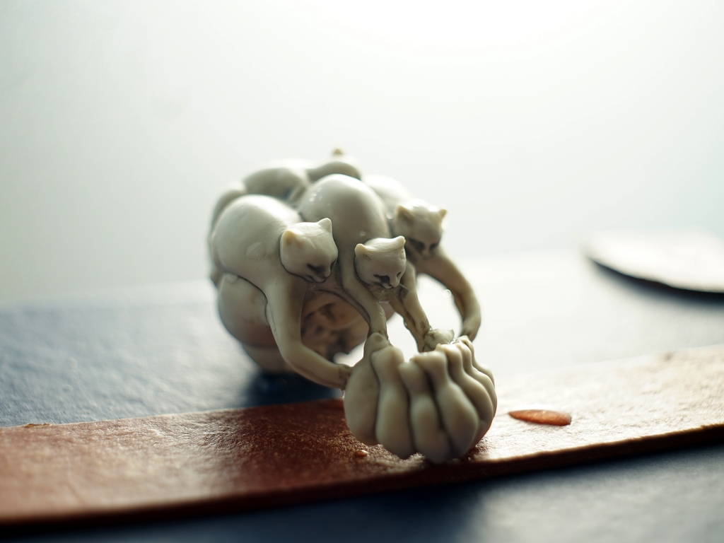 国芳と猫ちゃんたち