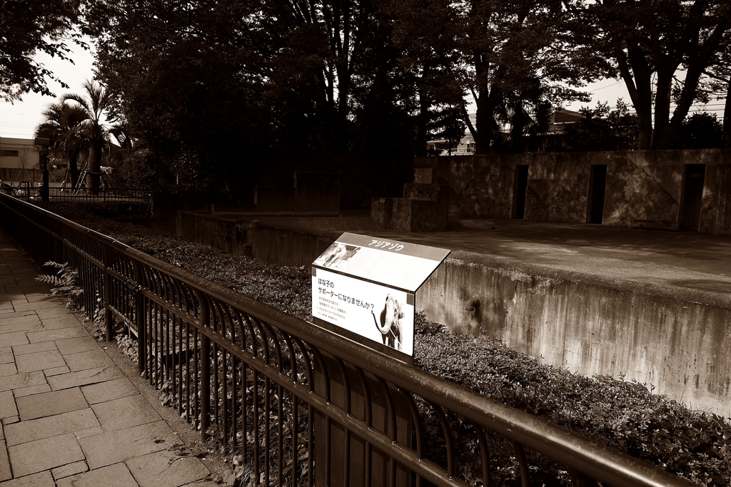 はな子がいない象舎