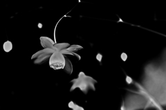 笑ゥせぇるすまん