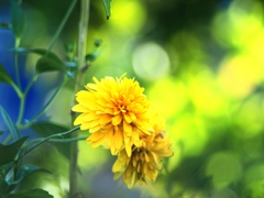 公園内は写真撮影禁止ですよ