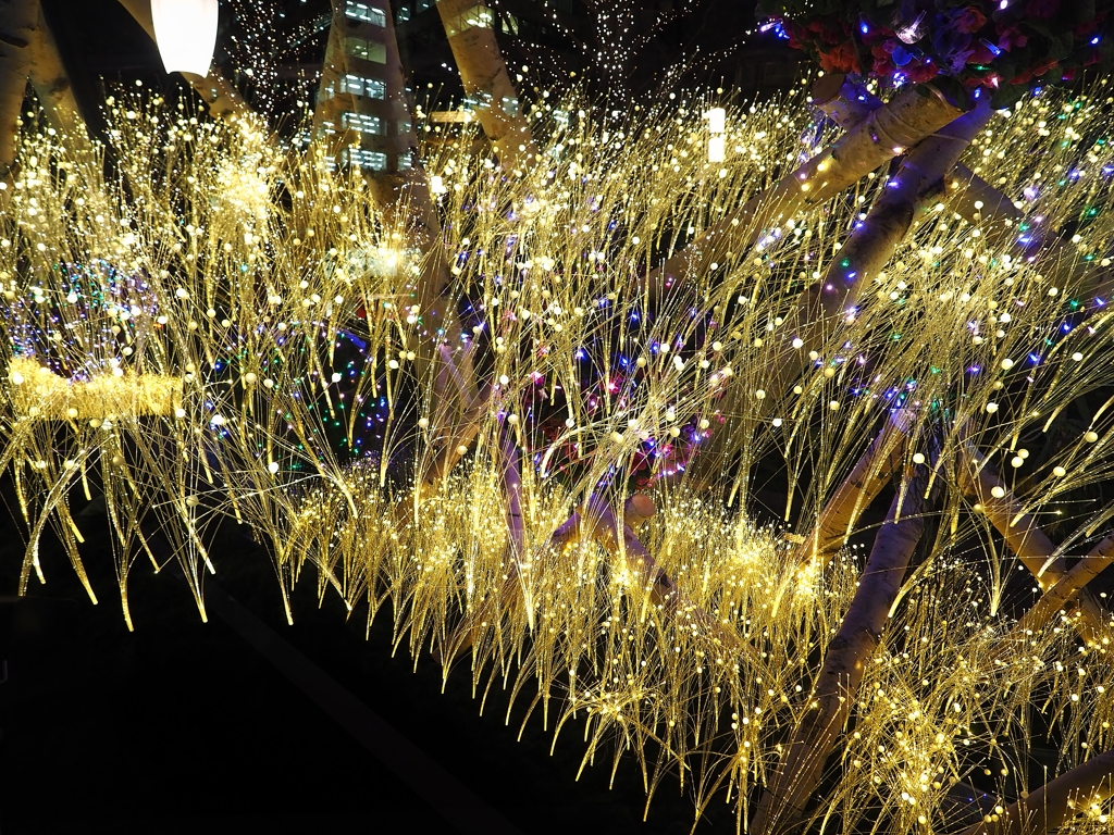 狂気の鏡面反転＆多重露光