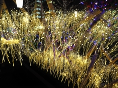 狂気の鏡面反転＆多重露光