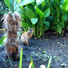 あなた　何なの？