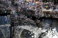 箱根ガラスの森美術館④