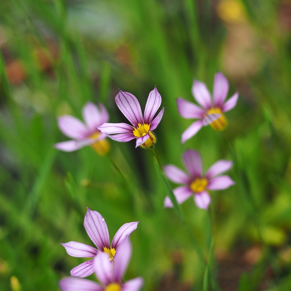 貴方を選んだ理由