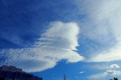 新百合のラピュタ