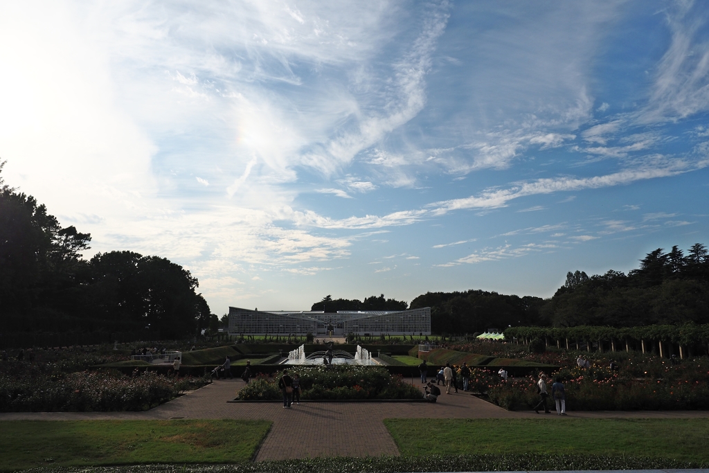 オリンパス一眼レフ撮り方講座実践編