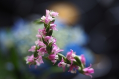 去り往くあなた１